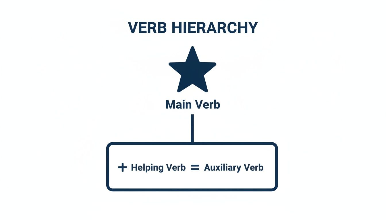 A diagram illustrates the verb hierarchy, showing Main Verb at the top and Helping Verb equaling Auxiliary Verb.