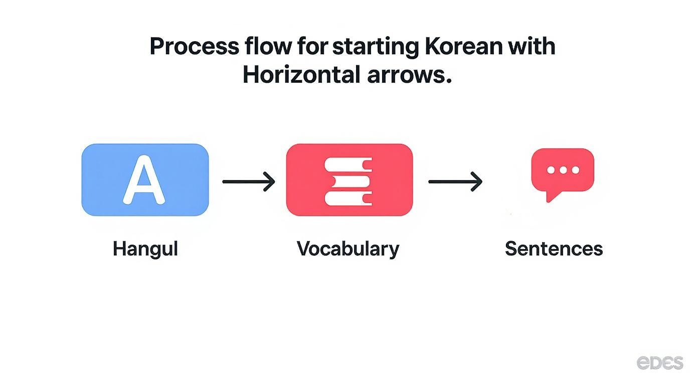 Korean learning process flowchart showing progression from Hangul alphabet to vocabulary building to sentence formation