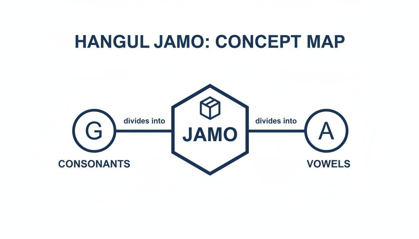 A concept map illustrating Hangul Jamo, which divides into consonants and vowels.