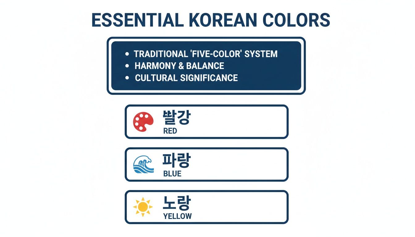 An educational graphic outlining essential Korean colors, featuring red, blue, and yellow with their Korean names and cultural significance.