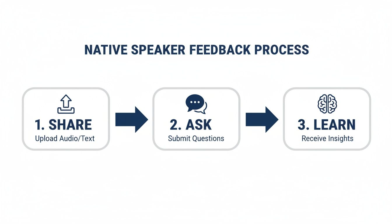 Flowchart illustrating the Native Speaker Feedback Process with three steps: Share, Ask, and Learn.