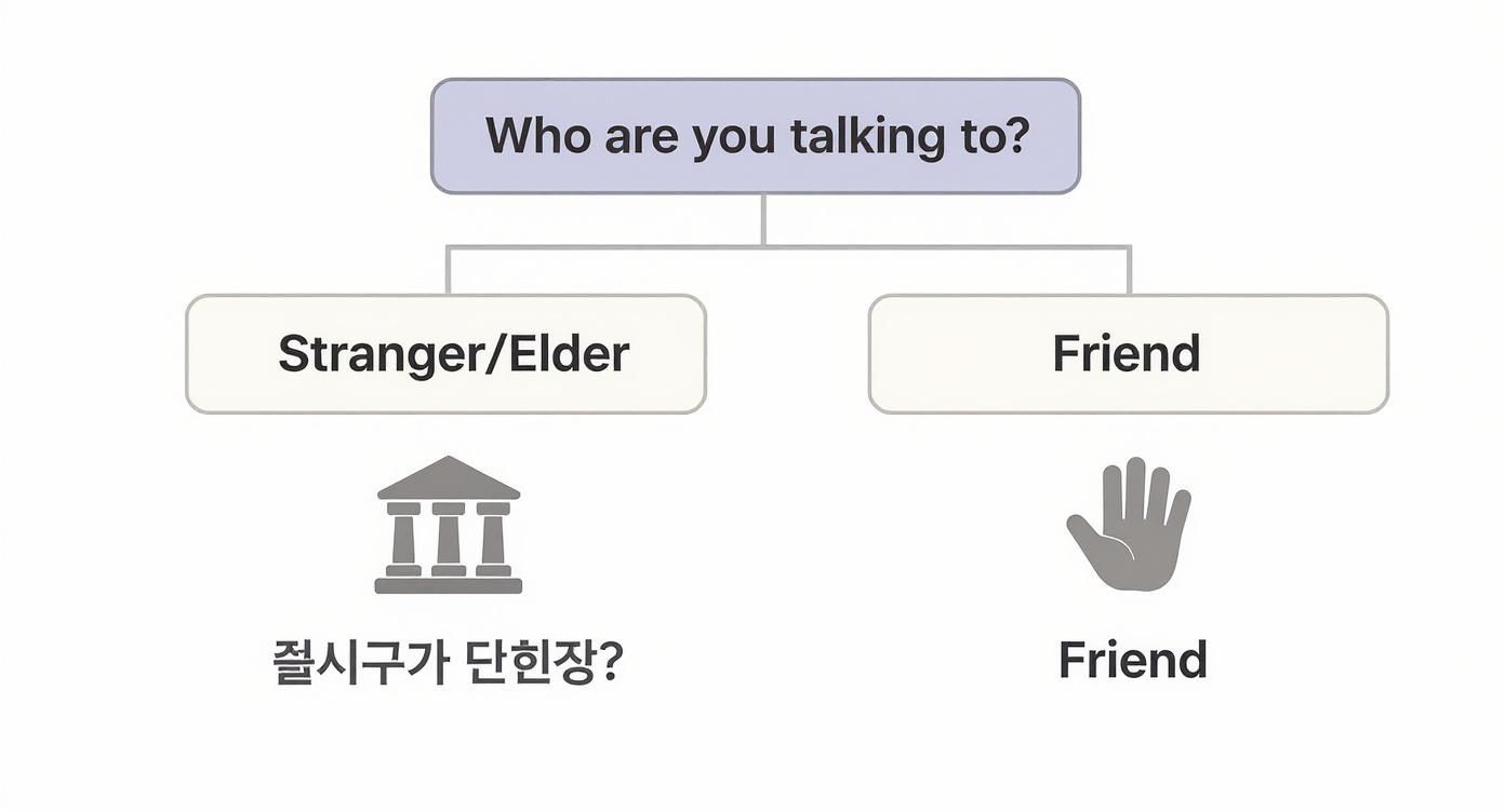 A flowchart asking 'Who are you talking to?', branching to 'Stranger/Elder' and 'Friend'.