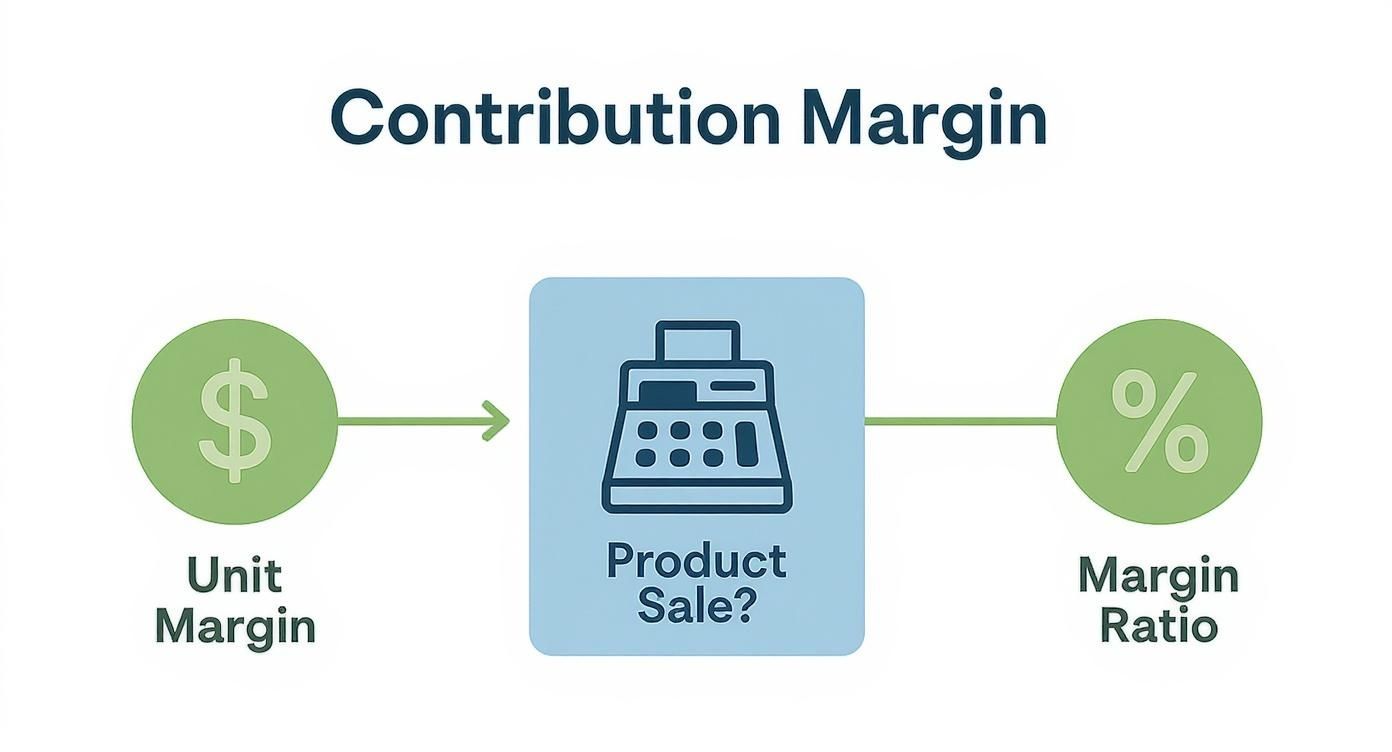 Infographic about contribution margin calculation