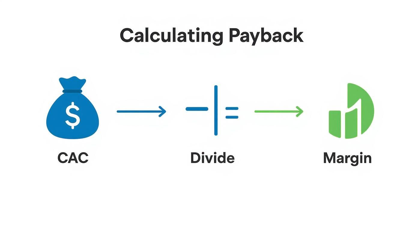Infographic about how to calculate cac payback