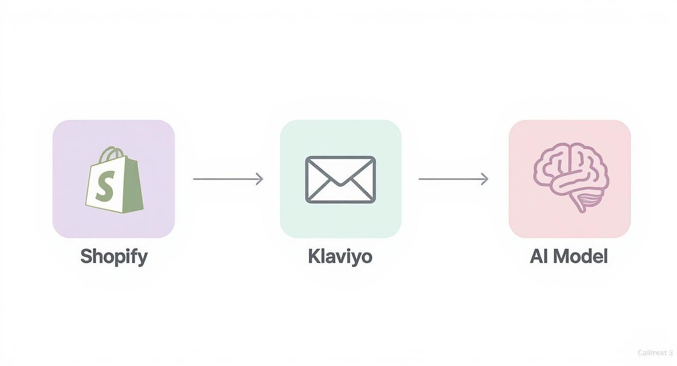 Workflow diagram showing Shopify connecting to Klaviyo email platform then to AI Model for automated predictions