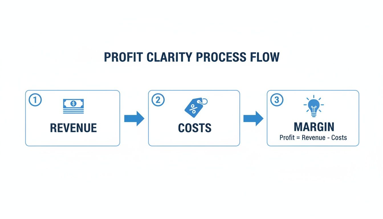 Profit clarity process flow diagram illustrating revenue, costs, and margin, including the profit formula.