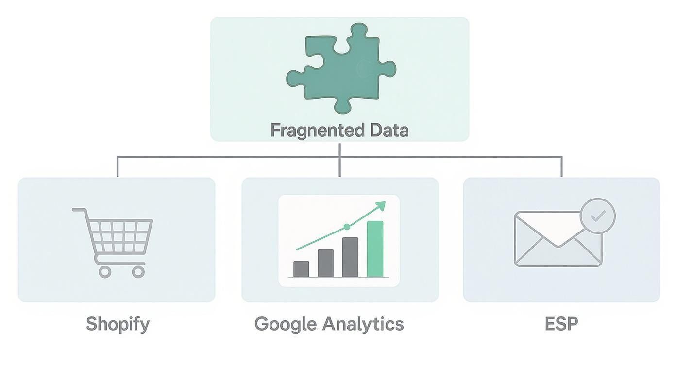 Infographic showing fragmented data from Shopify, Google Analytics, and an ESP