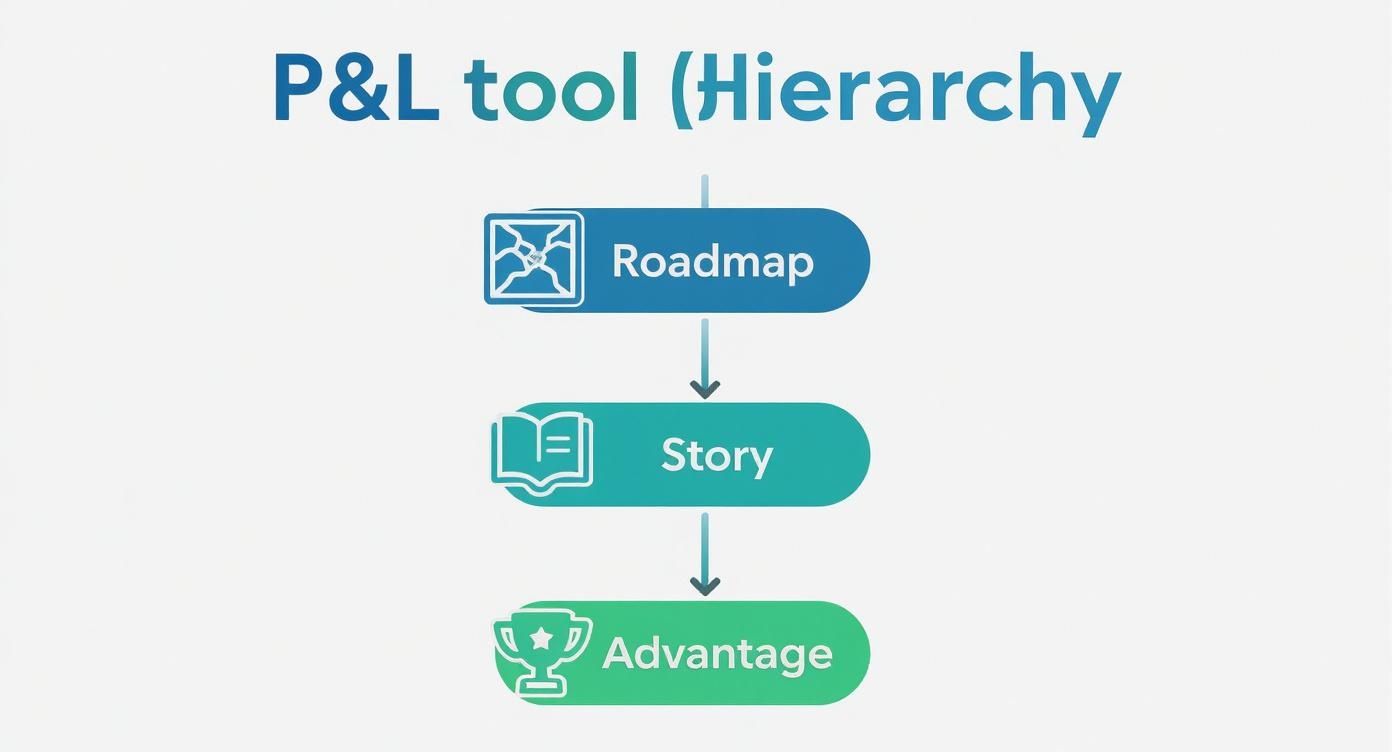 Infographic about what is p and l
