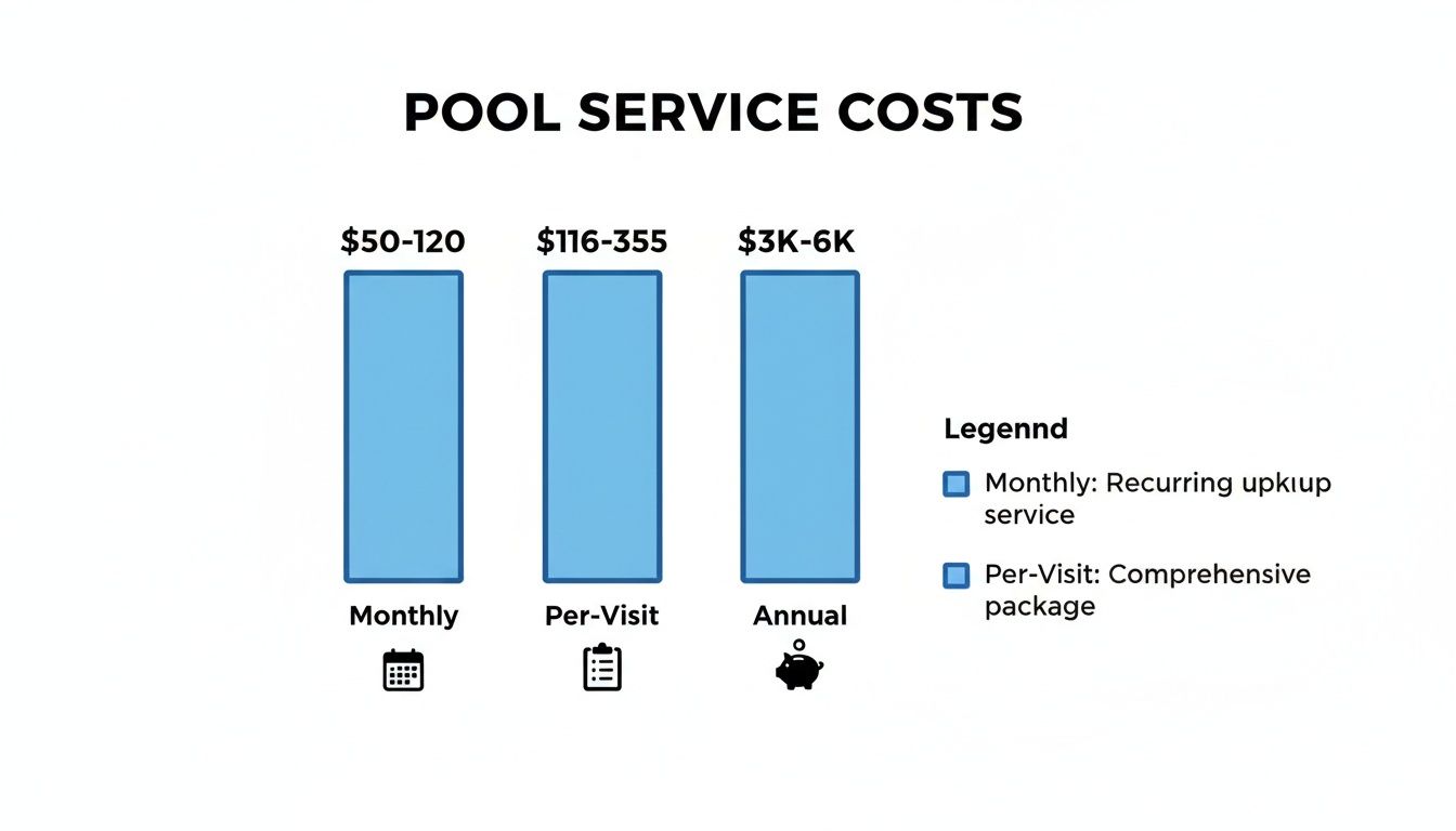 Visitor Pool Chart What Does Pool Maintenance Service Cost? A Homeowner's Guide | Pool ...