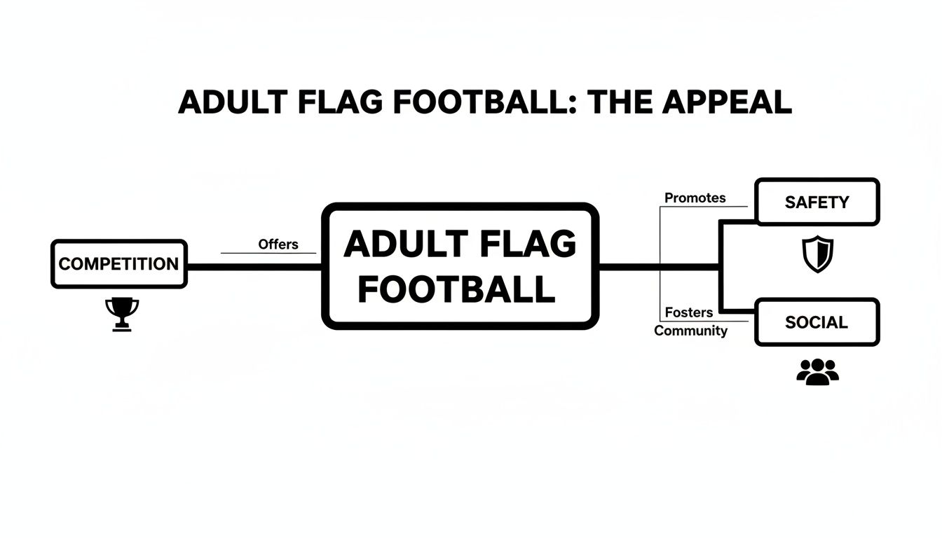An infographic detailing the benefits of adult flag football, including competition, safety, and social engagement.