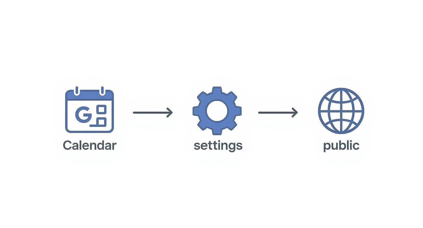 An infographic showing the steps to access Google Calendar's public settings: starting with the Google Calendar icon, moving to the settings gear icon, and ending with the public access globe icon.
