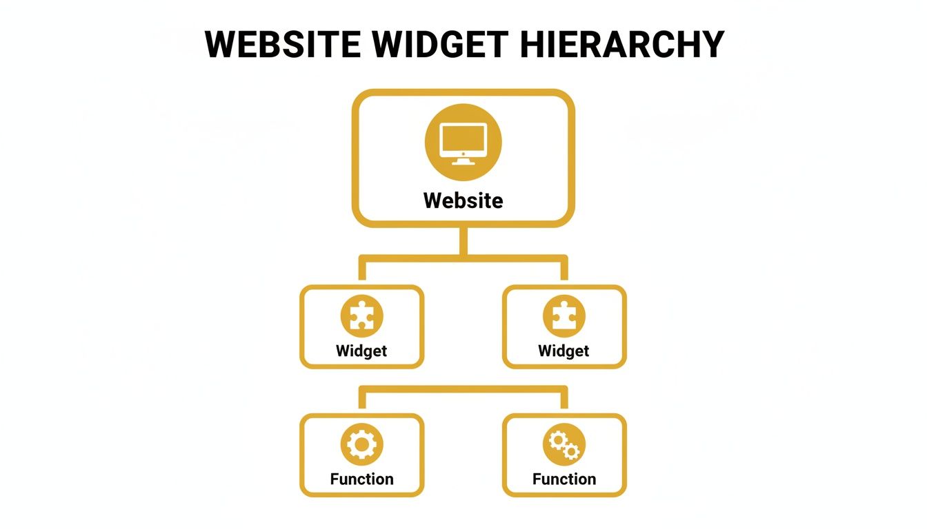 Diagram illustrating website widget hierarchy: website at top, branching to widgets, then functions.