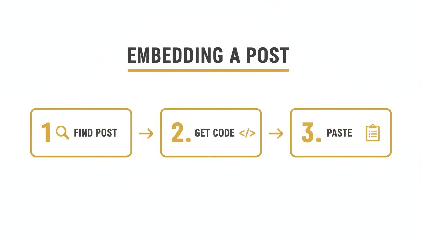 Infographic showing three steps to embed a post: find post, get code, and paste.