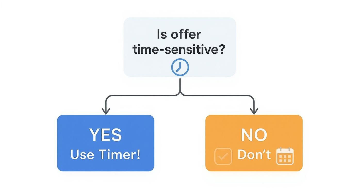 Infographic about countdown timers for email