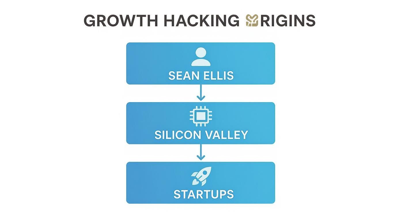Infographic about what is growth hacking