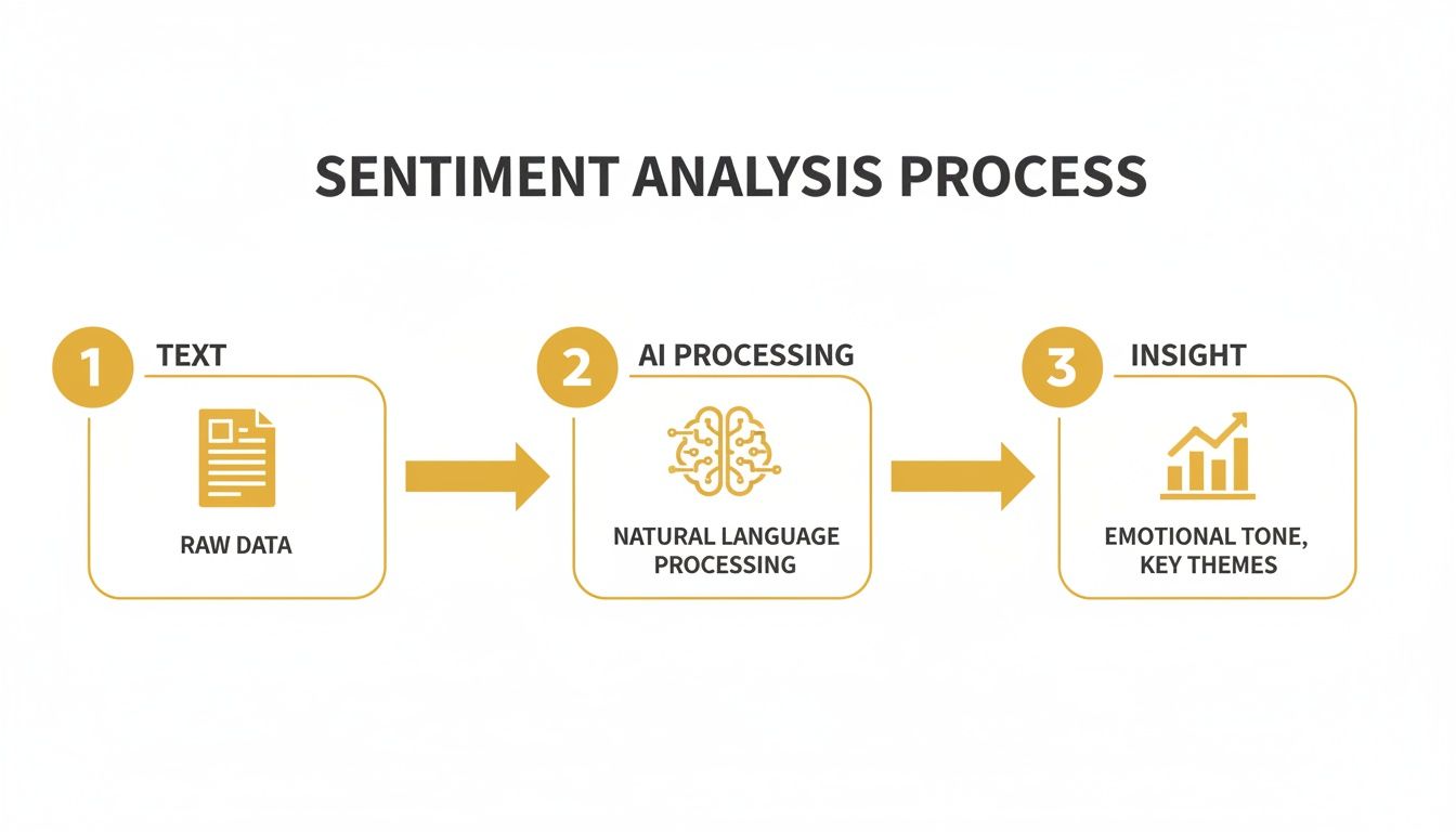 A flowchart illustrating the sentiment analysis process, detailing text input, AI processing, and key insights.