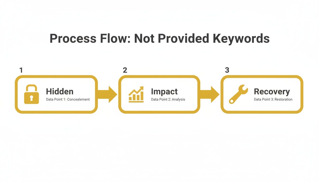Infographic about not provided google analytics keyword