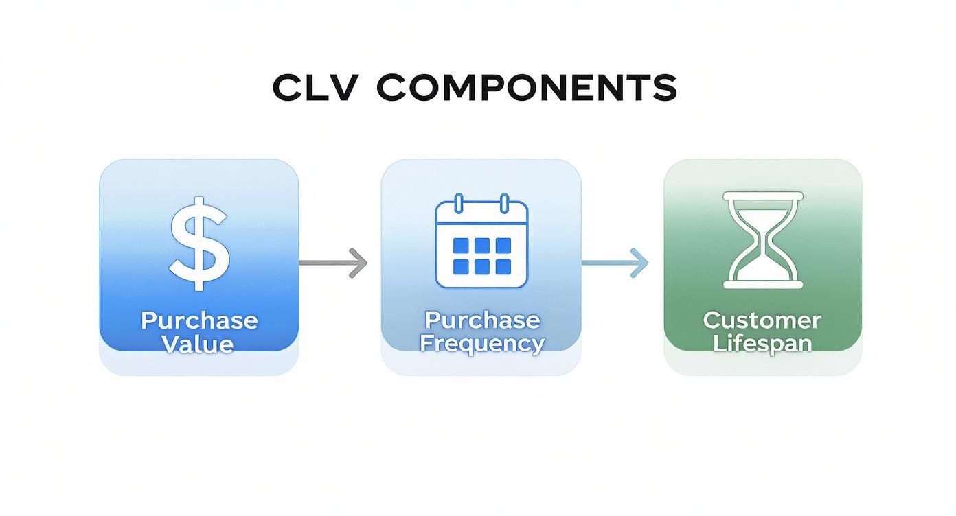 Infographic about lifetime value of customer calculator