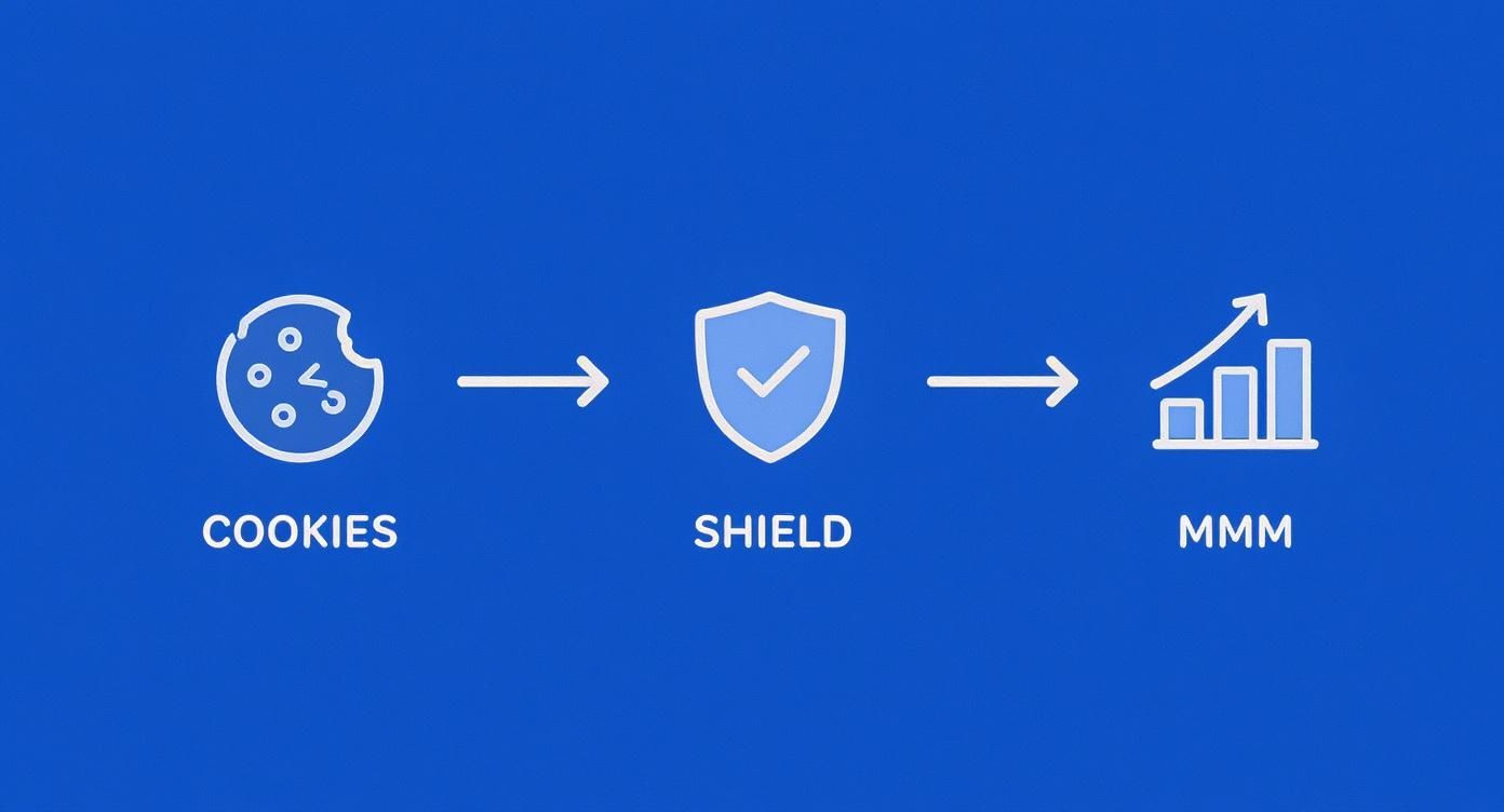 Infographic showing a process from cookies, to a shield, then to an upward trending bar chart (MMM).