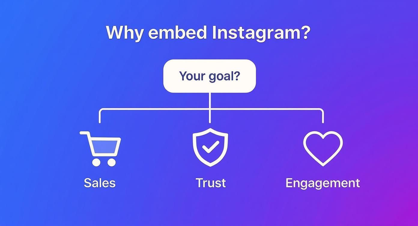 Flowchart showing three goals for embedding Instagram: sales, trust, and engagement with icons
