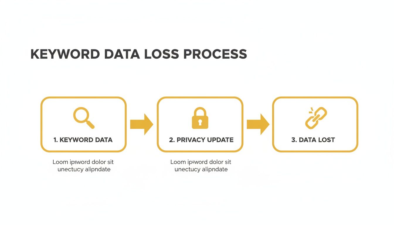 A flowchart showing the Keyword Data Loss Process in three steps: Keyword Data, Privacy Update, and Data Lost.