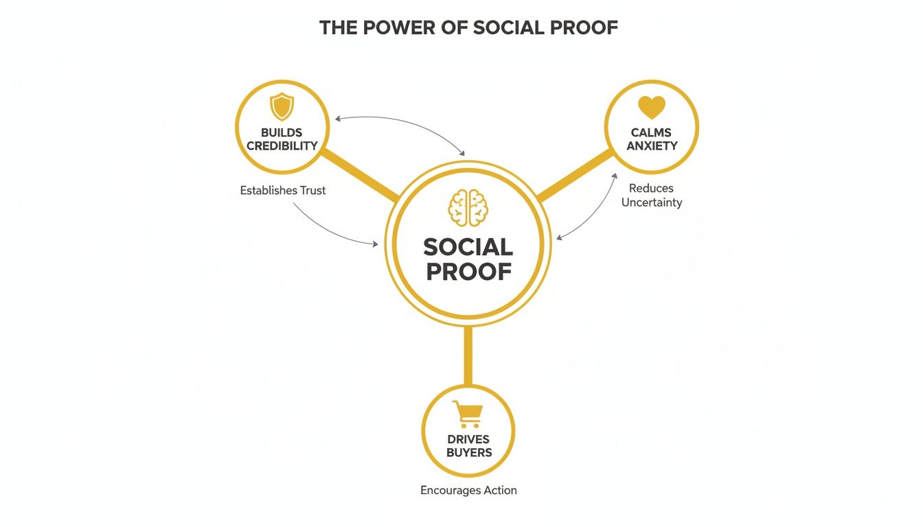 Diagram illustrating the power of social proof: builds credibility, calms anxiety, and drives buyers.