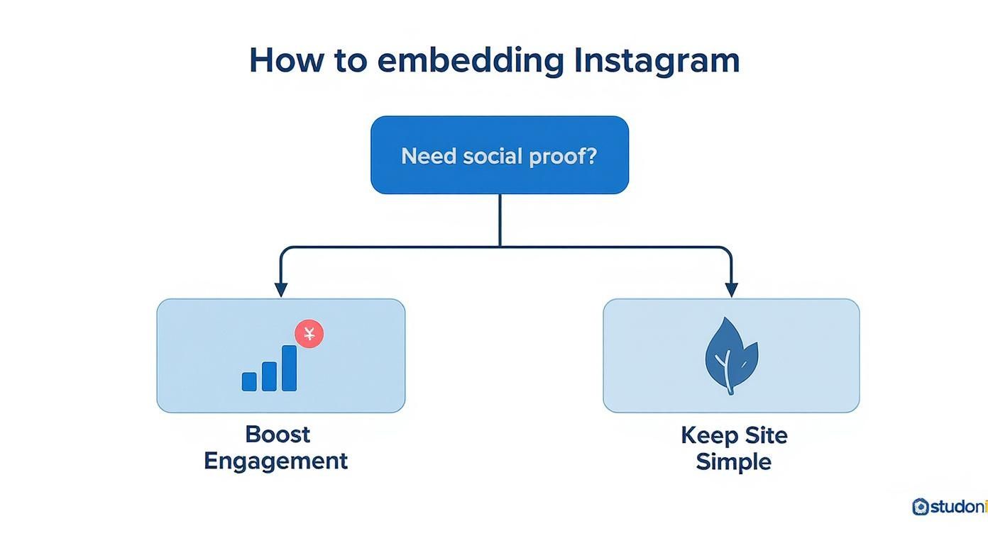 Infographic about embed instagram website