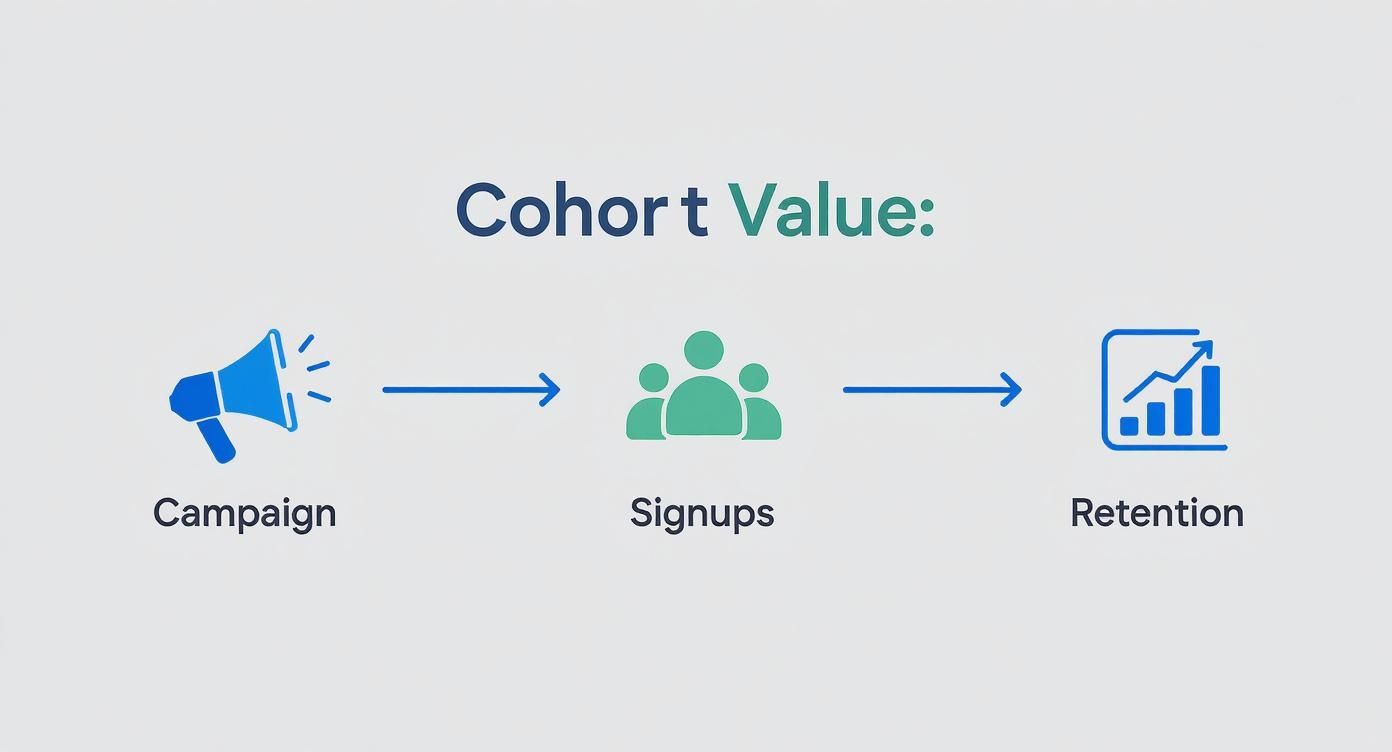 Infographic showing the process flow from a marketing campaign to user signups and finally to retention analysis.