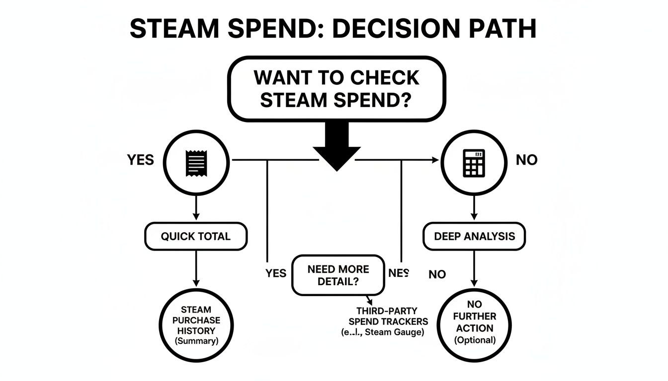 Flowchart illustrating decision paths for checking Steam game spending, covering quick totals and deep analysis.