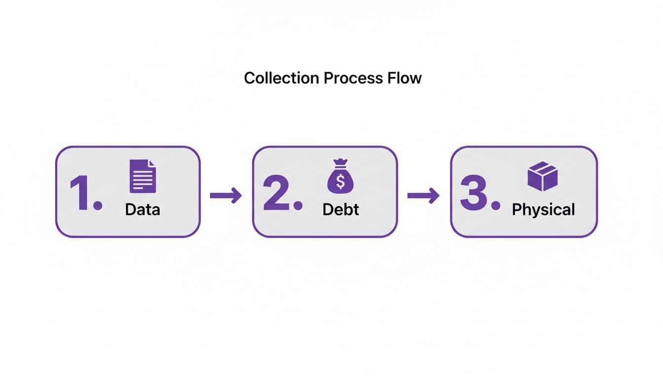 A collection process flow diagram showing three steps: 1. Data, 2. Debt, and 3. Physical.