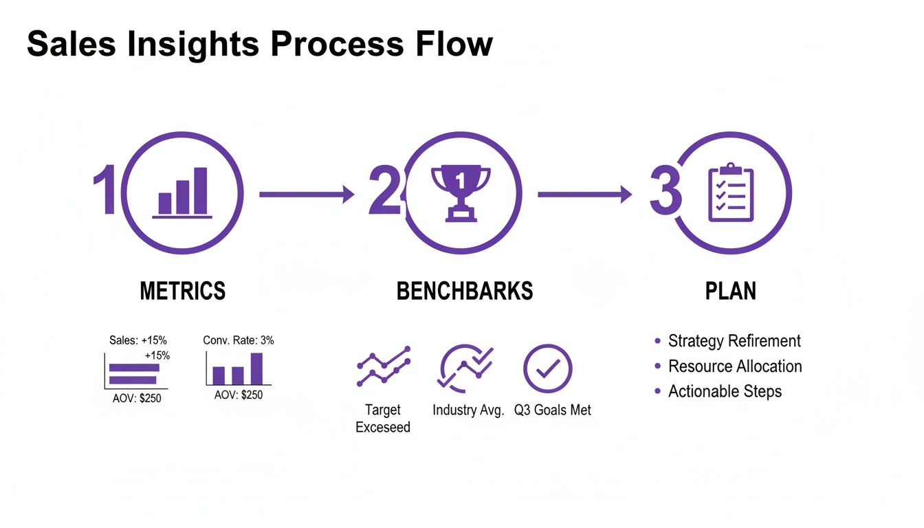 Infographic about analyzing sales data