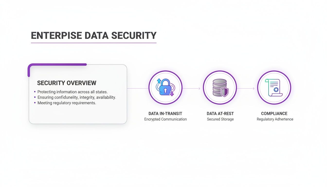 An infographic illustrating enterprise data security concepts: security overview, data in-transit, data at-rest, and compliance.