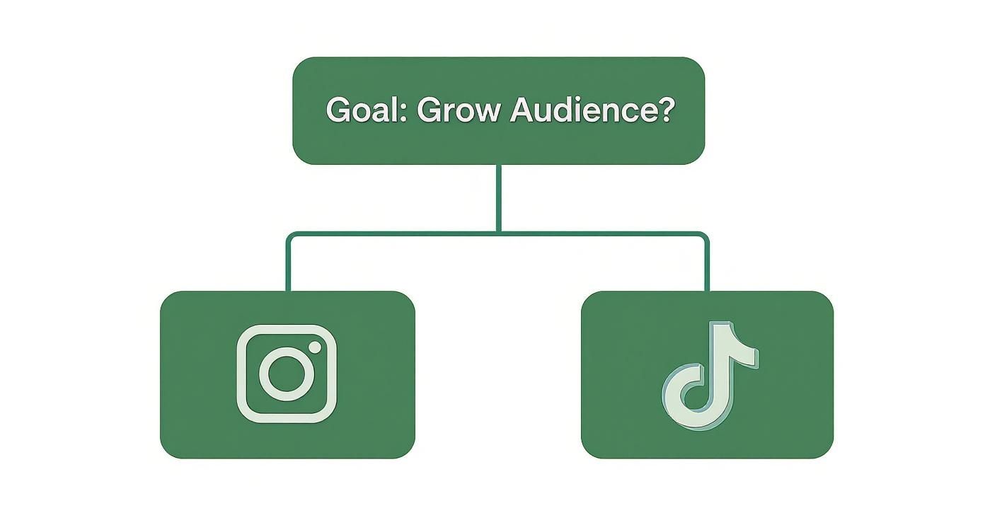 Infographic about how to make money with ai