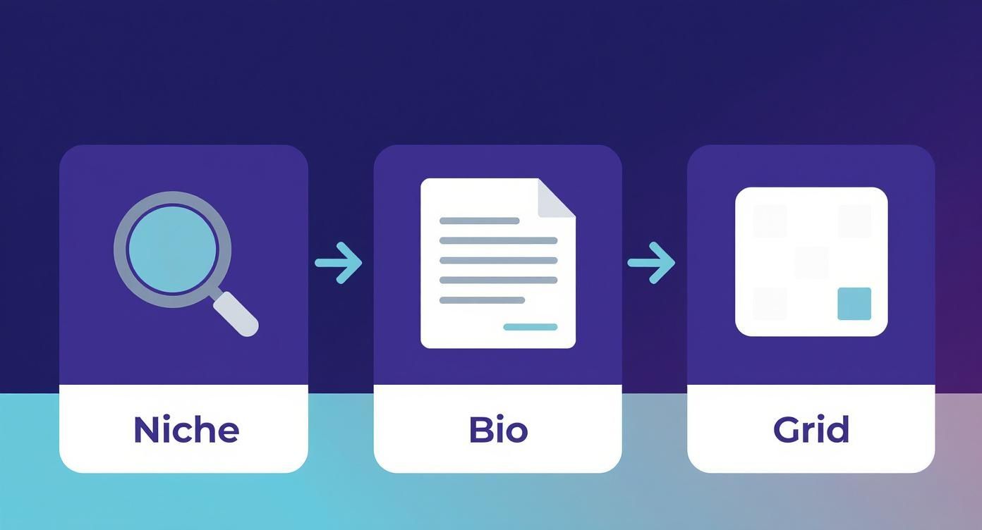Infographic about how can i get 1000 followers on instagram