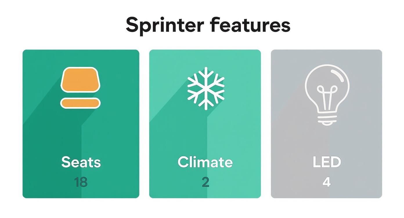 Infographic about sprinter party van