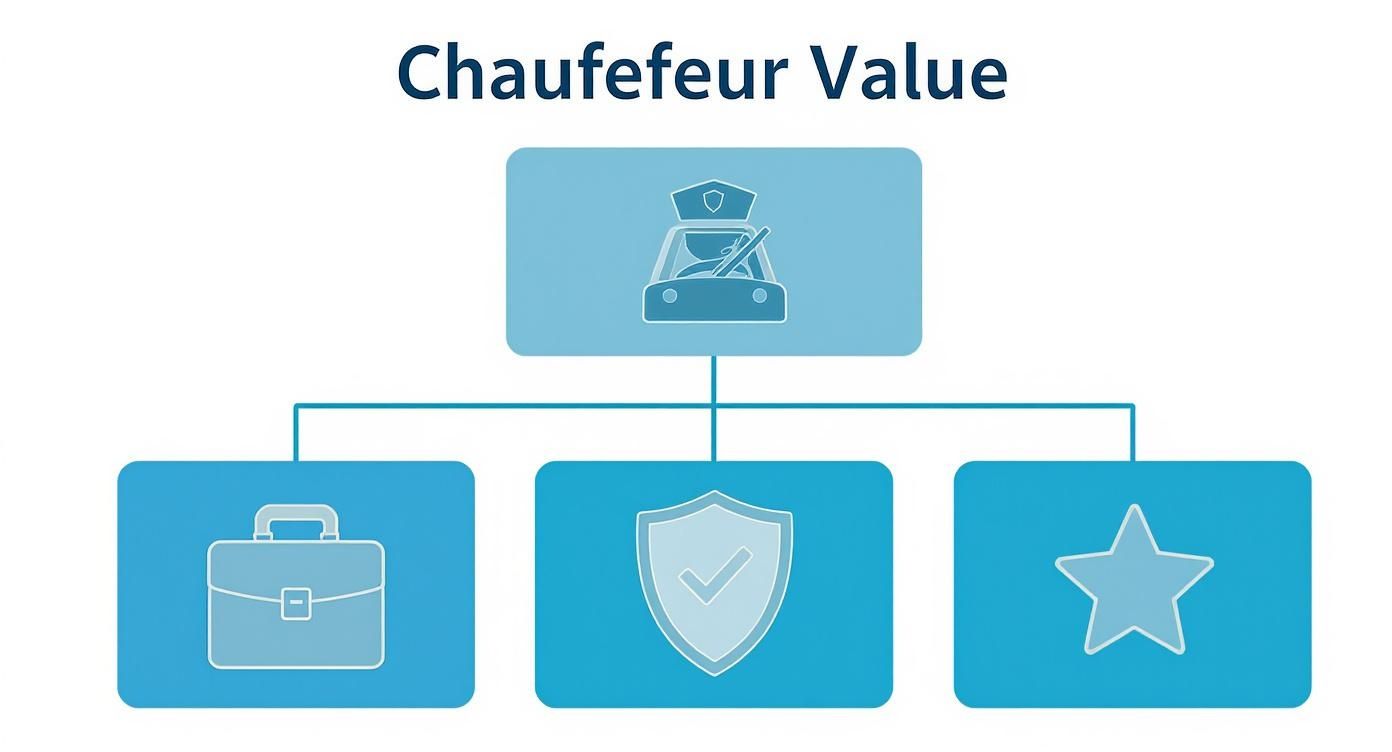 Infographic about vip chauffeur services