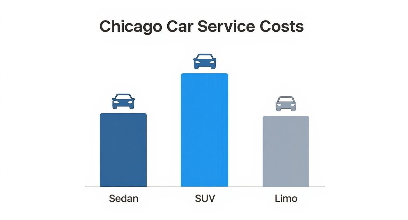 Infographic about how much is car service