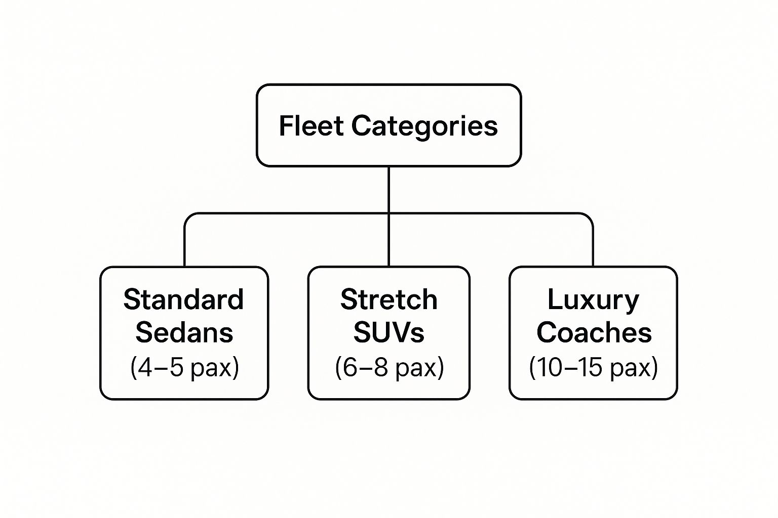 Infographic about limo limo