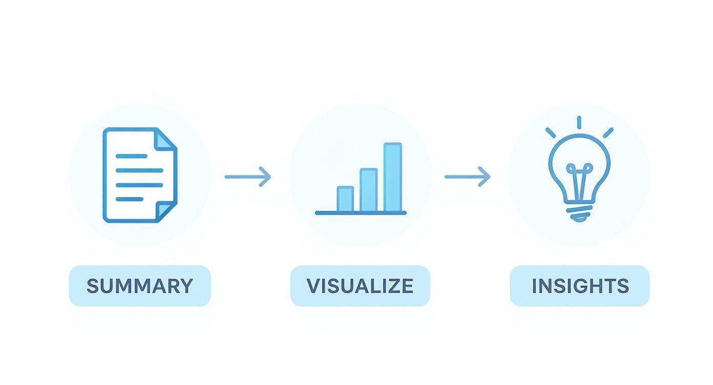 A clear three-step process diagram showing summary (document), visualize (bar chart), and insights (lightbulb).