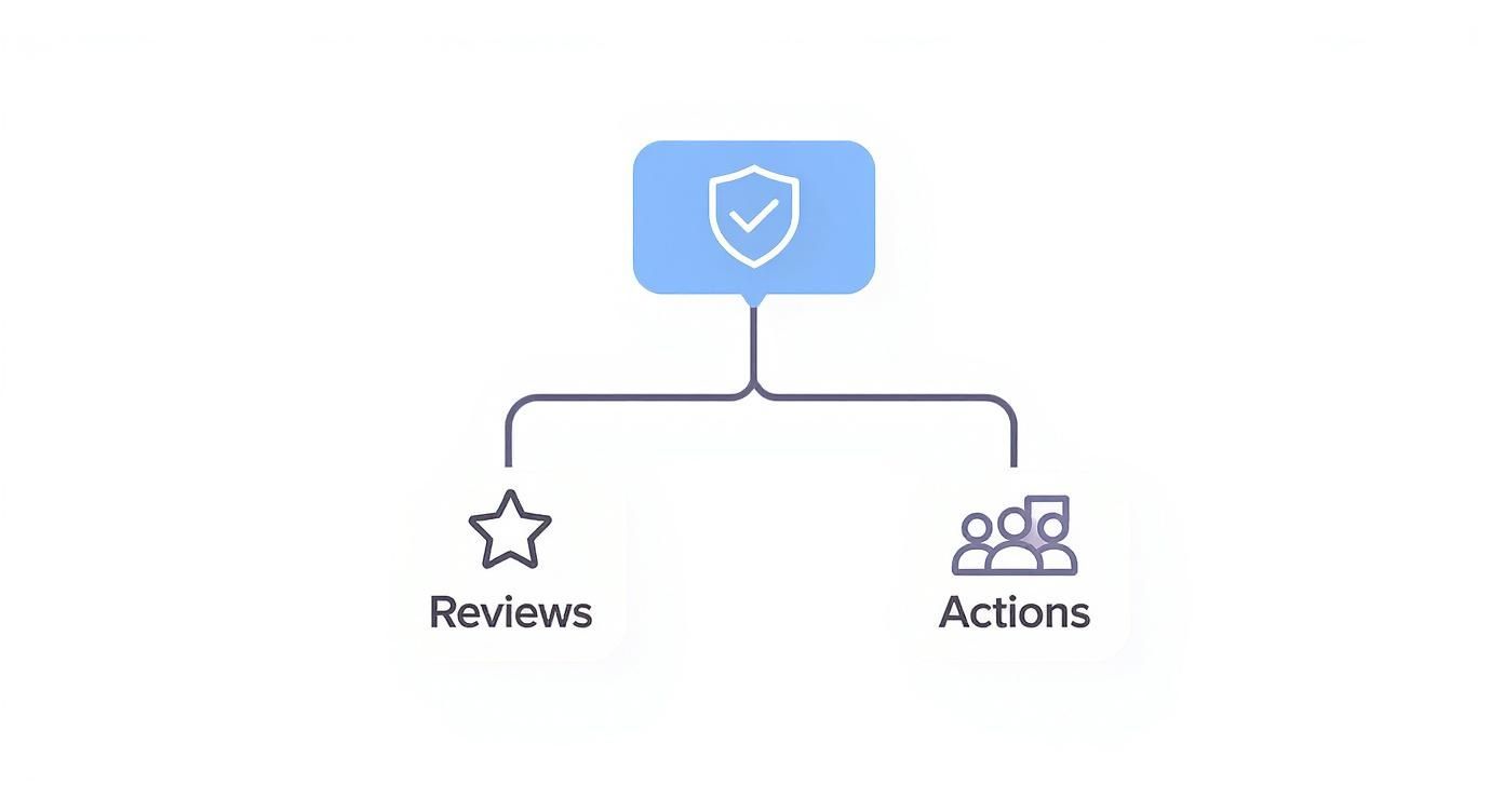 Infographic about what is social proof in marketing