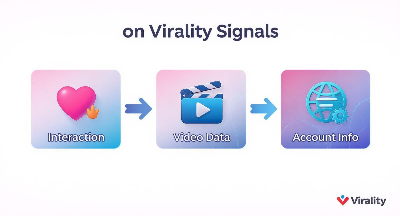 Diagram showing how Virality Signals are derived from user interaction, video content, and account details.