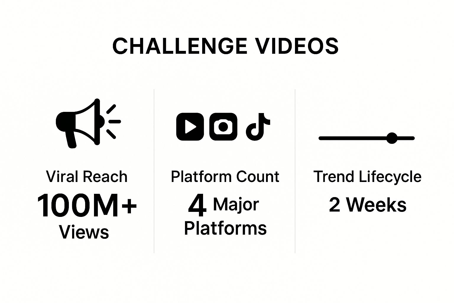 Infographic showing key data about Challenge Videos