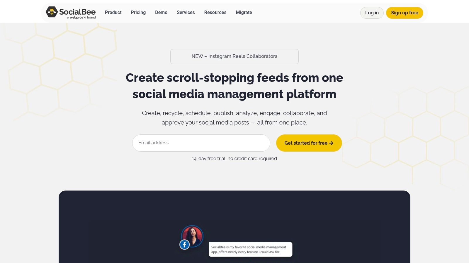 SocialBee