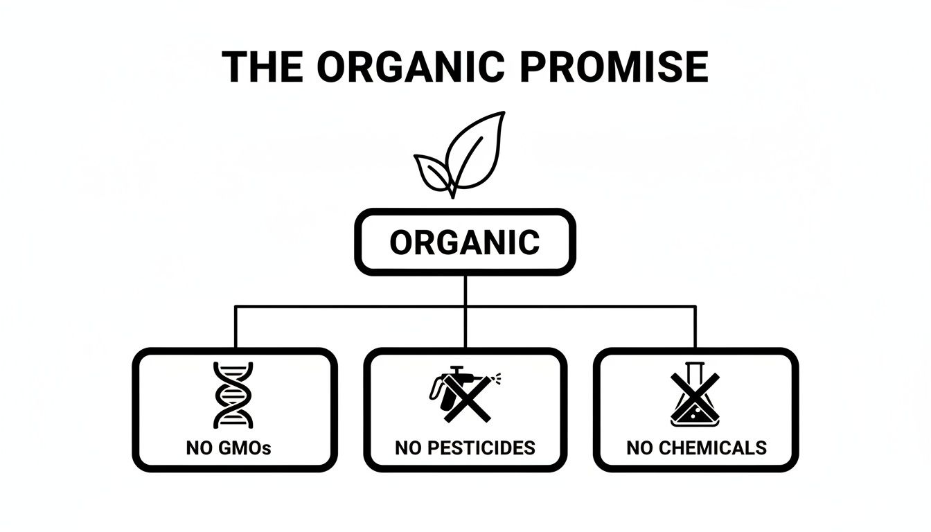 A diagram titled 'The Organic Promise' shows 'Organic' branching to 'No GMOs,' 'No Pesticides,' and 'No Chemicals.'