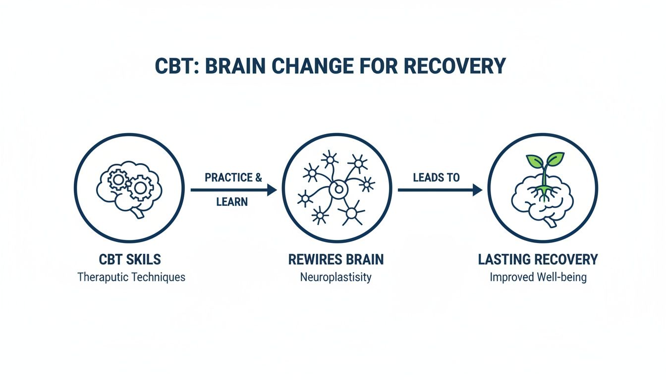 Infographic demonstrating how CBT skills, practice, and neuroplasticity lead to lasting brain change for recovery.
