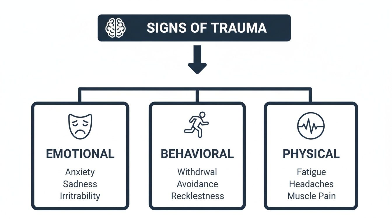 A diagram illustrating the signs of trauma, divided into emotional, behavioral, and physical categories with examples.