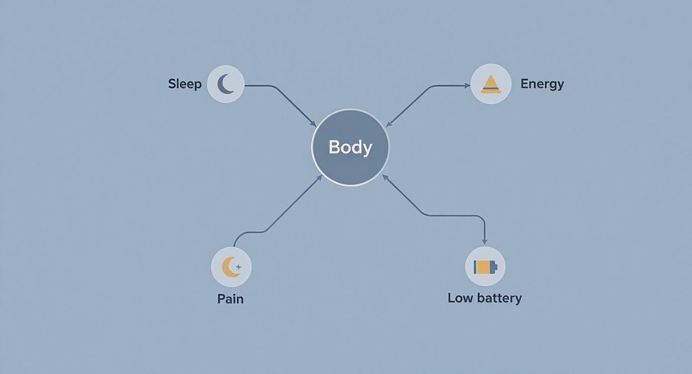 Diagram showing body connected to sleep, energy, pain, and low battery symptoms illustrating physical health factors