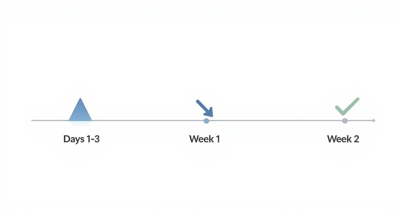A timeline graphic depicting events across Days 1-3, Week 1, and Week 2.