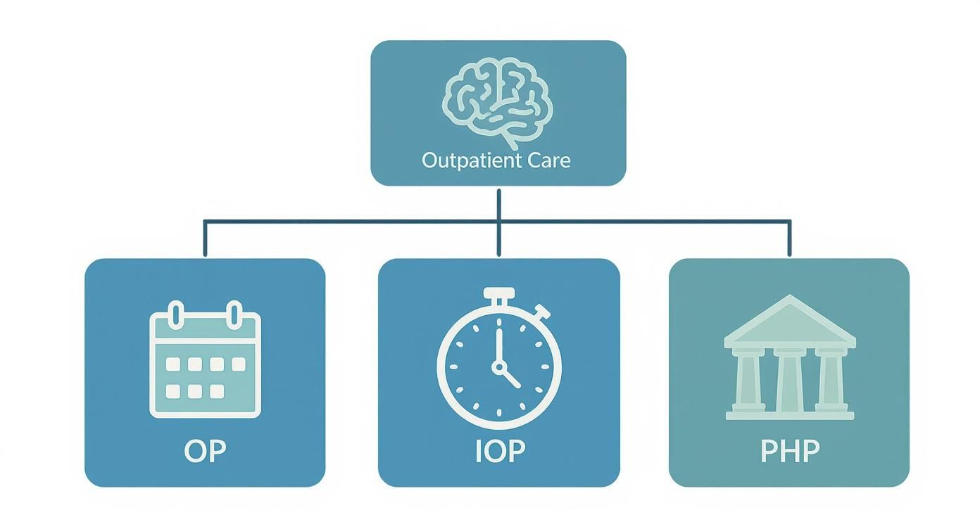 Flowchart illustrating outpatient care options, including Outpatient Program (OP), Intensive Outpatient Program (IOP), and Partial Hospitalization Program (PHP).
