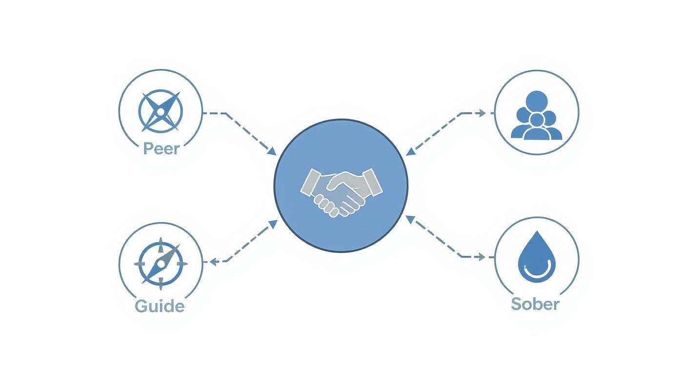 Infographic about what is a sponsor in aa